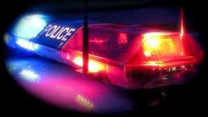 Police Lights Google Search Police Police Siren Police Cars