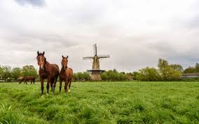 Netherlands, country located in northwestern europe, also known as holland. Equestrian Nation The Netherlands