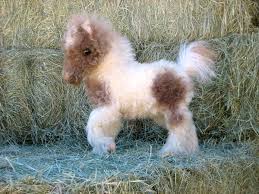 Deborah Mcdermott Another Peek At Adam Cute Animals Baby Horses Cute Baby Animals