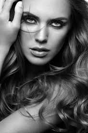 High-speed hair dryer with brushless motor