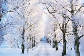 We did not find results for: Will There Be A White Christmas In 2018 Simplemost