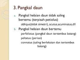 Sireh apabila urat urat daun bertemu menjadi bidalan sireh bertemu urat. Morfologi Daun Ppt Download
