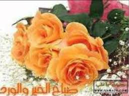 يا أم العيون السود ناظم الغزالي flowers plants rose
