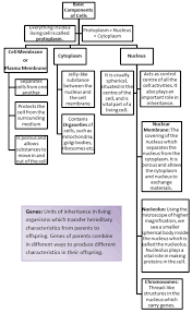 Maybe you would like to learn more about one of these? Https Www Spsrohini Com Sites Default Files 8 Science Cell Structure 20and 20functions Notes Vl Pdf