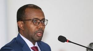 Somalia's foreign minister suspended over "corruption"