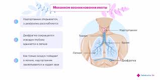 Физиологические причины икоты