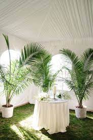Elegant New Jersey Manor Wedding Wedding Plants Palm Wedding White Wedding Ceremony