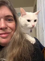 Cute cat wants to snuggle