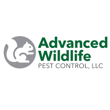 A modern pest wildlife professional will come to your property and address the wildlife issues you've been having. Advanced Wildlife Pest Control Llc Posts Facebook