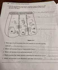 December 24th, 2012 10:21:08 am. Anatomy And Physiology Coloring Workbook Answer Key