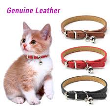 Even more so, this cat collar is fitted with bells, as such the neighborhood critters are safe from your furbaby. Soft Genuine Leather Cat Collar With Bell Adjustable Puppy Neck Strap For Kitten Necklace Cat Accessories Pet Supplies Xs S Cat Collars Leads Aliexpress
