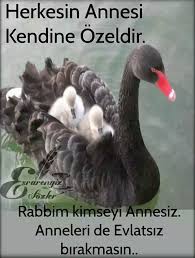 Sengul Adli Kullanicinin Ozlu Sozler Panosundaki Pin Anne Anne Olmak Resimler