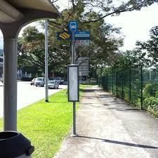 The other bus was not carrying any passengers. Bus Stop 44151 Opp Bt Batok Fire Stn Choa Chu Kang Bukit Batok Rd