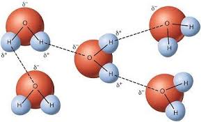 As ligações de hidrogênio e seus efeitos - Clube da Química