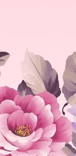 Spring flowers live wallpapers app has a variety of colorful flowers surrounded with amazing sights of nature. 49 Best Ideas Flowers Fondos Peonias Flower Wallpaper Wallpaper Flowers Cellphone Wallpaper