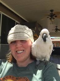 Adoptable Dog Kiwi through Lucky Dawg Animal Rescue