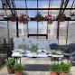 Horticulture Hangout event in Calgary, AB, Canada