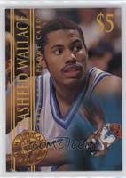 Rasheed Wallace Rookie Year Basketball Cards
