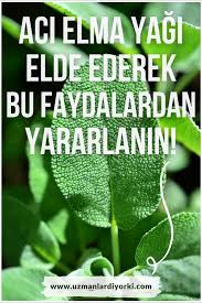 Aci Elma Yaginin Faydalari Elmalar Saglikli Yasam Tarzi Sifali Otlar