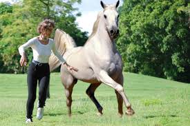 How odd not to know who they are at home, do not find you, feel like mars. 5 Spandex Bottoms For Prancersizing Without The Camel Toe Racked