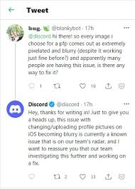 See more ideas about aesthetic anime, anime girl, anime icons. Discord Aware Of Blurry Profile Pictures Issue When Uploaded On Ios