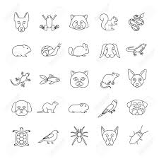 Halloween holiday witches of halloween patrick oct 25, 2020. Exotic Animals Drawing