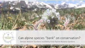 They're designed to play a frustrated patrons who plant dead seed and miss a gardening season won't be big promoters of community seed. Seed Bank Archives Center For Plant Conservation
