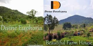 Due To Fast Life And Changing Lifestyles Cities Across The Country Have Transformed Into A Concrete Jungle Tall Buildings Concrete Jungle Life Country Roads