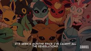 Rule34 - If it exists, there is porn of it  zaviel, eevee, eeveelution,  espeon, flareon, glaceon, jolteon, leafeon, pokemon (species), sylveon,  umbreon, vaporeon  6786669