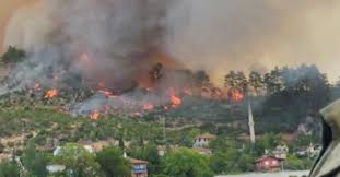 We did not find results for: I3eawdmfxq Kim