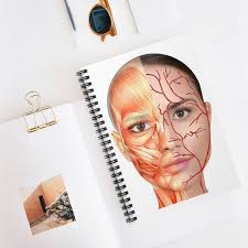 Facial Anatomy With Blanks