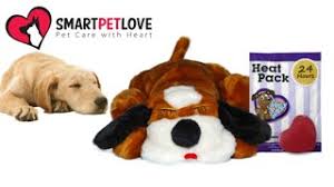 He has been at the vets seriously ill all day, vomiting. Snuggle Puppy From Smart Pet Love Youtube