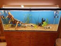 We did not find results for: Led Shop Light Modifying White Hue The Planted Tank Forum