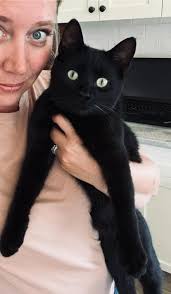 Traffic Stop by Frank