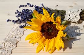 We did not find results for: Yellow Sunflower Near Bouquet Of Lavender On Brown Surface Hd Wallpaper Wallpaper Flare