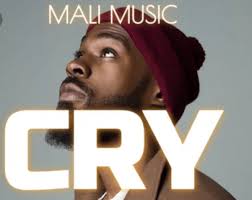 Download Mali Music Cry Mp3 Lyrics Video Music Music Download Mali