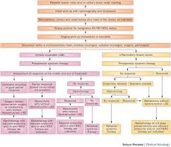 Image result for Breast Cancer Management