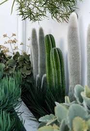 It's mostly tied to the forsaken all the bowls will be lit up. Muwowo Muwoworaphael14 Profile Pinterest