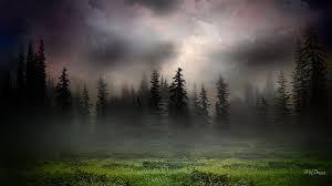 Sunrise In Foggy Woods 1920x1080 Foggy Woods Via Www Allwallpaper In In 2020 Forest Landscape Landscape Foggy