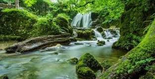 Beauty Of Nature A Blessing Of Allah Backtojannah