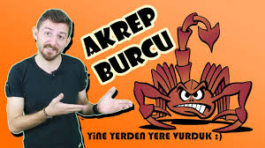 Akrep burcu erkeğinin libidosu oldukça yüksektir. Akrep Burcunun En Kotu Ozellikleri Youtube