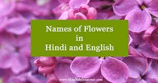 Vegetables names, fruits name, spices name, trees name. List Names Of Flowers In Hindi And English Eenglishgrammar Com