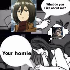 Mikasa Share Sum Ereh W Us Aot Memes Fb Memes Memes
