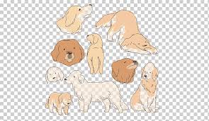 In this article, we'll find out more about this designer dog, from mini golden retriever facts and the breed's origin to the mini retriever's pros. Brown Dog Art Illustration Golden Retriever Labrador Retriever Shiba Inu Miniature Pinscher Drawing Cartoon Golden Retriever Cartoon Character Mammal Painted Png Klipartz
