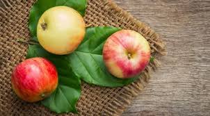 .buah apel gambar sketsa dan apel gambar mewarnai apel ilmu pengetahuan 1 gambar buah apel abekadigital apple line in buah apel clipart clip art gambar buah cara menggambar dan. 5 Cara Mengolah Buah Apel Jadi Minuman Rendah Gula Lifestyle Fimela Com