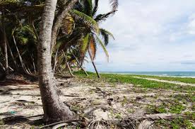 Randonnee A Cap Macabou Randonnee Martinique Antilles Francaises