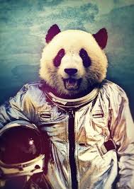 Spacepanda Adventure Art Art Adventure Print