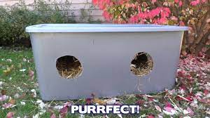 The rockever outdoor cat shelter is basically a separate house for your cat. Outdoor Cat Shelter Online Shopping