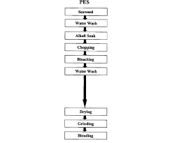 Processed Eucheuma Seaweed Manufacturing Process Flow Chart