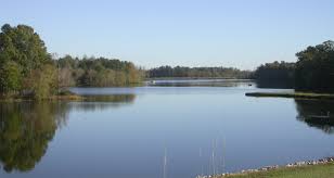 For catching medium and large fish in lakes (lake sturgeon, muskie) . Georgia Fishing Report May 26 2017 Georgia Wildlife Blog